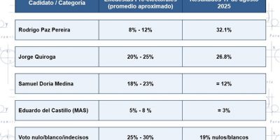 ¿Qué pasó en Bolivia el pasado domingo?’Mediciones y resultados’