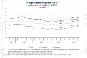 ¿Por qué no mejora la percepción de seguridad?